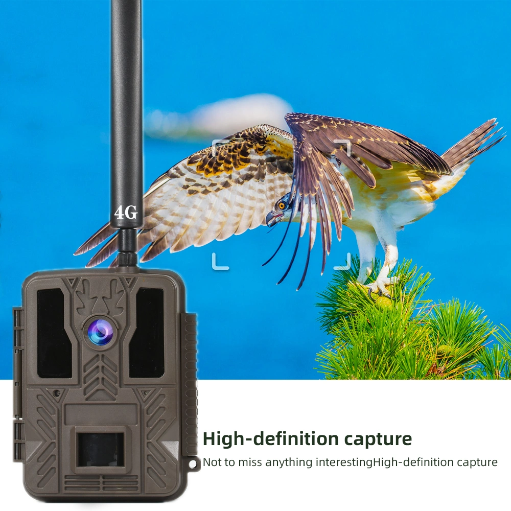 FHD 36MP GSM 4G Wireless PIR Hunting Camera Waterproof Mini SMS Control LTE 4G Cellular Trail Cameras